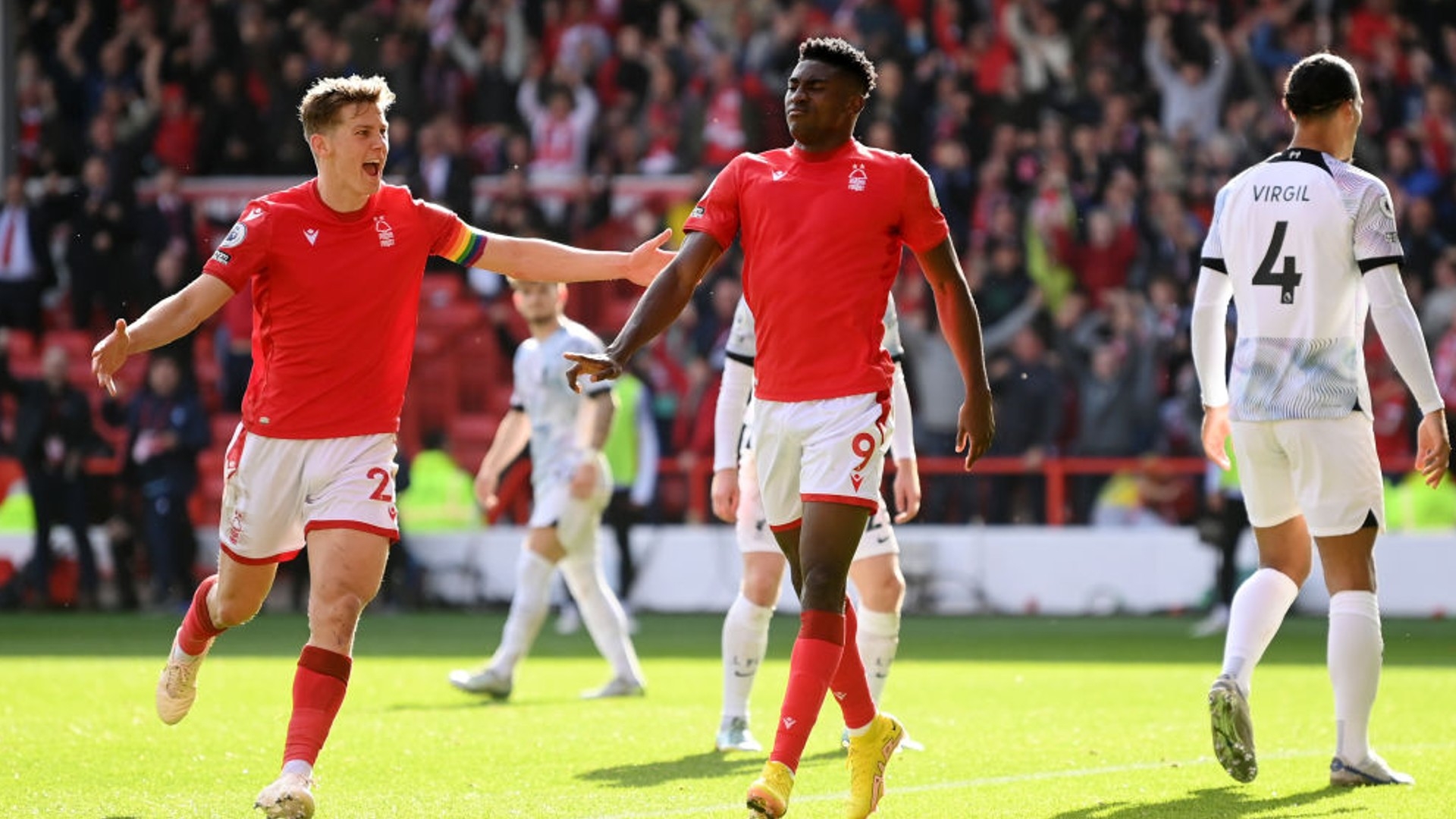 诺维奇在主 诺维奇在主